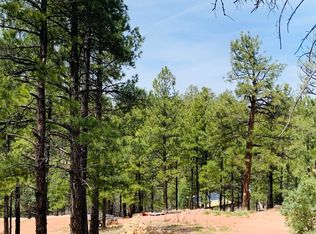 2816 Canyon View Dr, Happy Jack, AZ 86024
