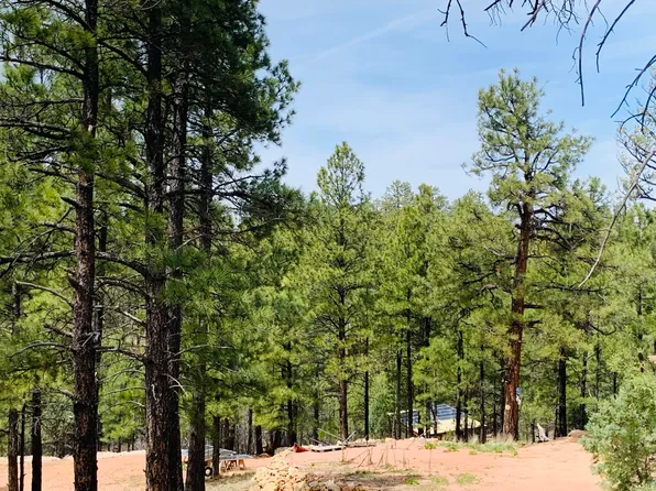 2816 Canyon View Dr, Happy Jack, AZ 86024
