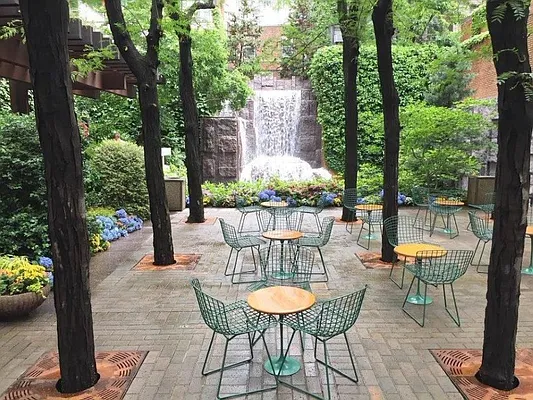 Rented by Douglas Elliman | media 20