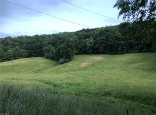 1144 Grace Rd, Reedy, WV 25270