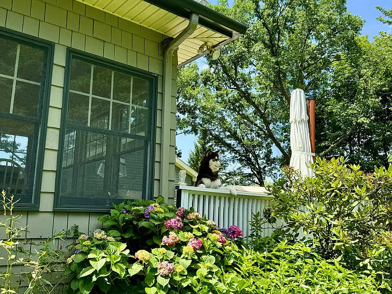 1317 Cherry St — Photo 6
