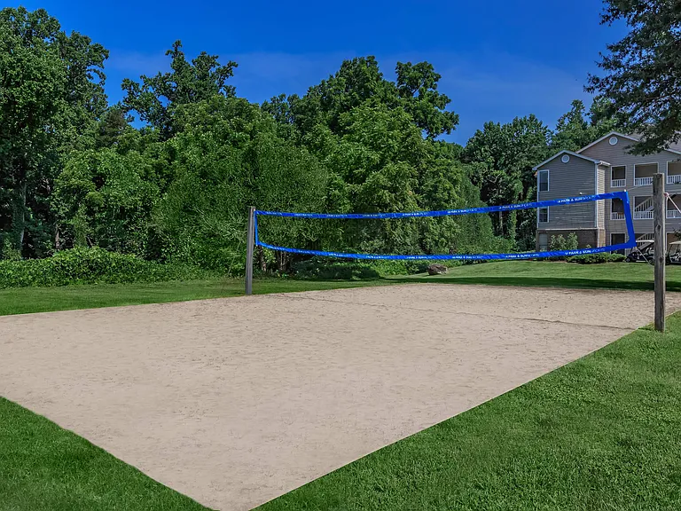 Beach Volleyball Court Surrounded by Lush Greenery