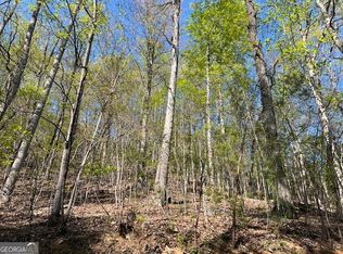 LOT 2B Grandview Dr, Hayesville, NC 28904