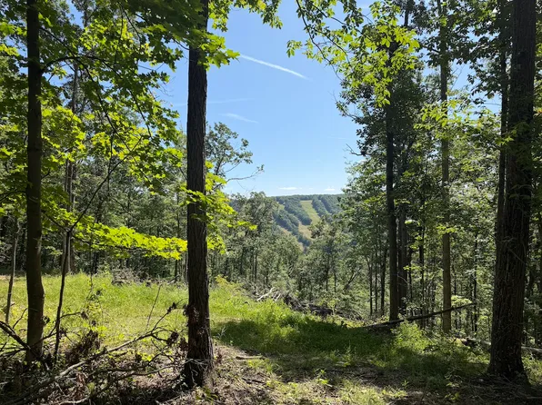 V/l State Rte Lot 70-WP001, Swain, NY 14884
