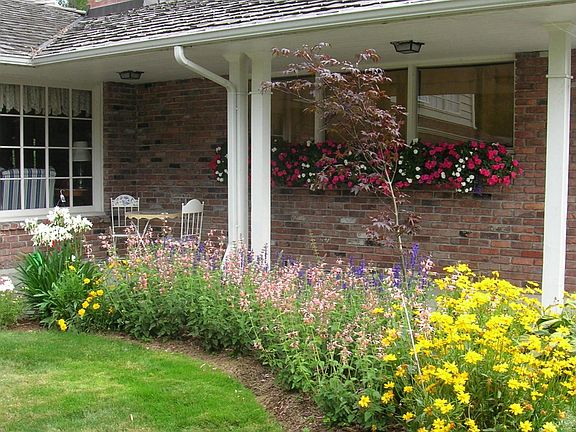 Front Walk in Summer Bloom