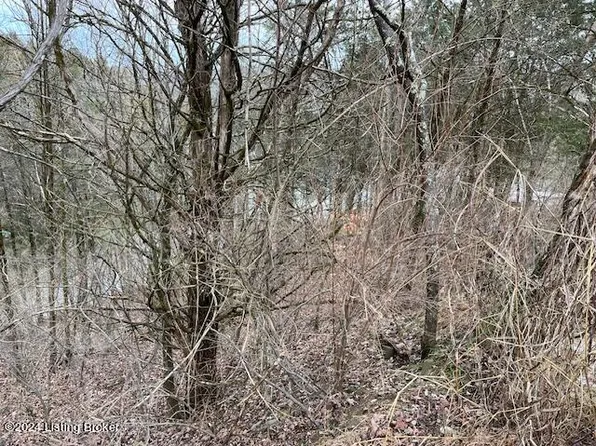 42 Trailwoods Lake Rd, Bagdad, KY 40003