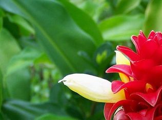 16-1883 Road 5 Uau, Pahoa, HI 96760