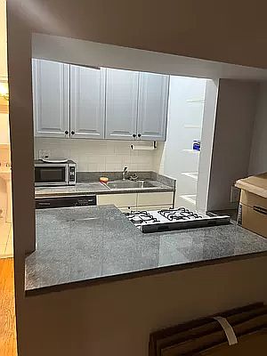 3rd image of 521 E 81st St APT C
