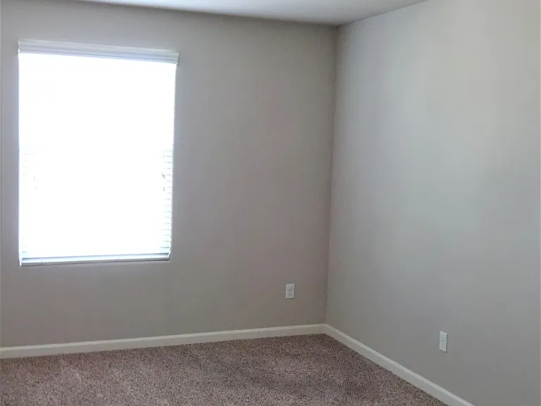 3517 Generosity Way — Photo 21