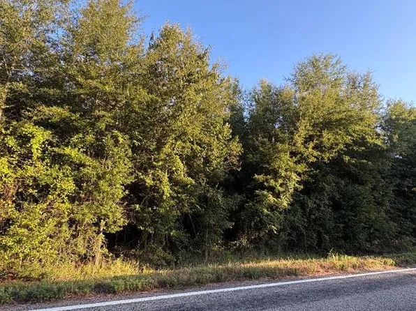TRACT 18 Highway 990, Simms, TX 75574
