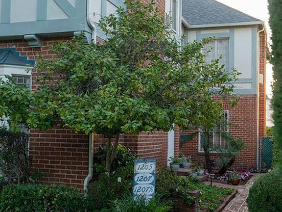 2nd image of 1207 S Orlando Ave #1205
