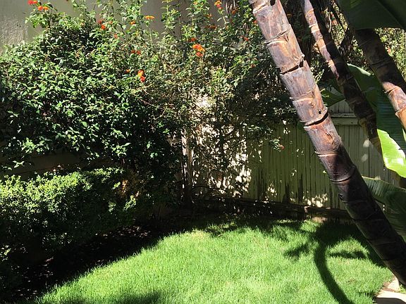 Close up backyard