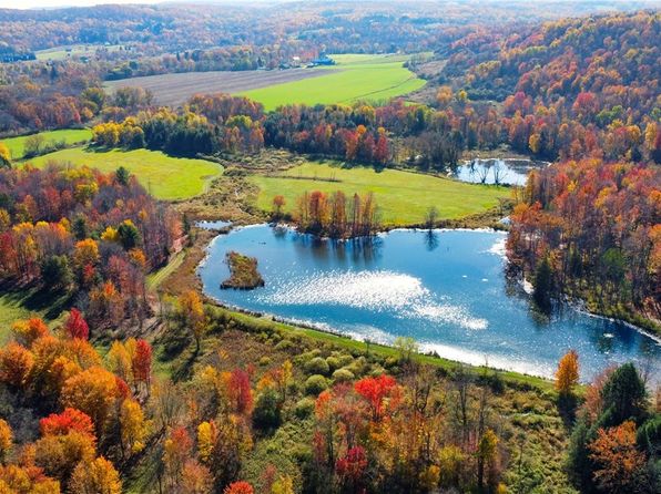 0 Toad Hollow Rd LOT 4, Mansfield, NY 14755