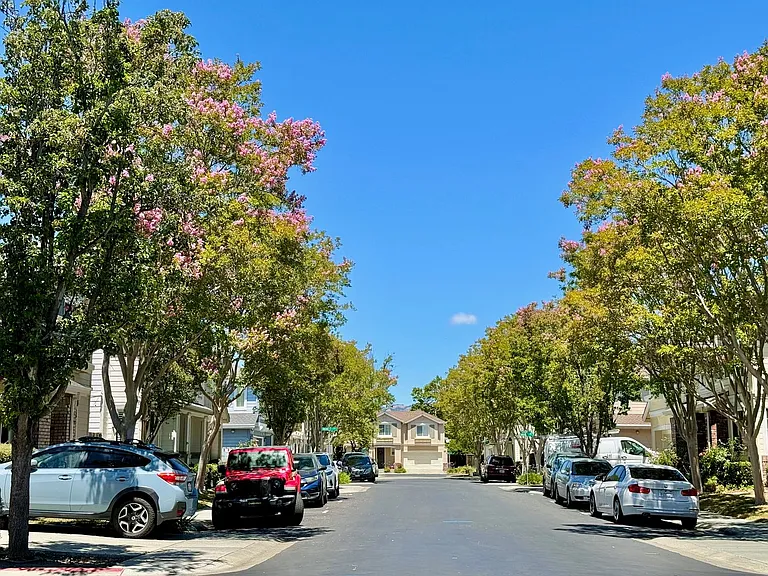 4061 Hemingway Cmn — Photo 20