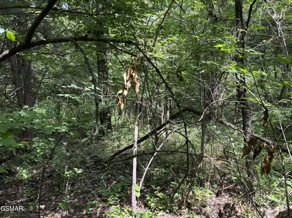 8 Red Bud Dr Lot 8, Newport, TN 37821