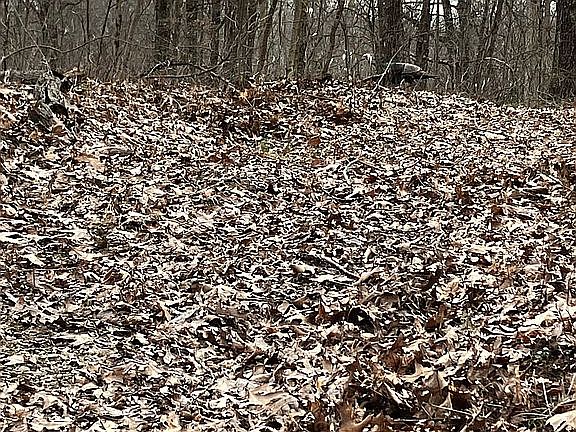 4th image of 15820 Township Road 298