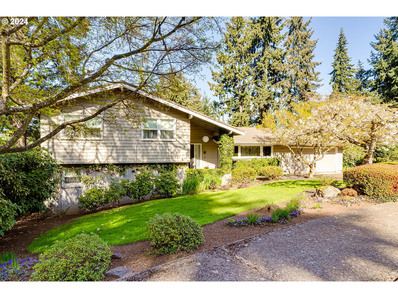 2669 Terrace View Dr photo 1