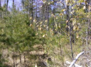 Bobcat Ln, Wilder, TN 38589