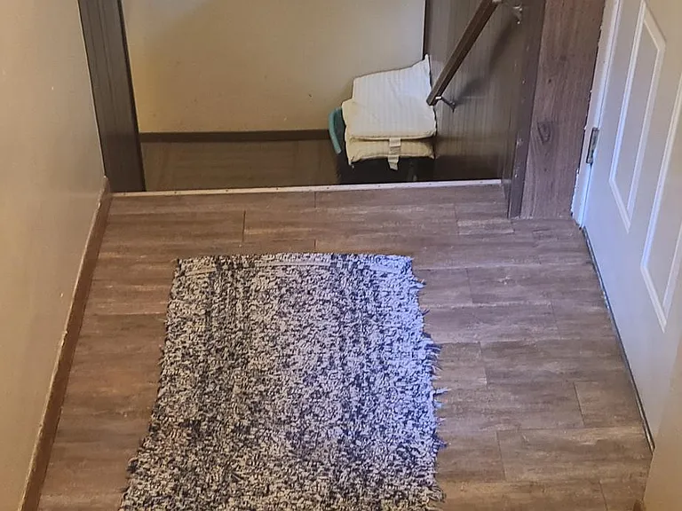 entrance through side door going down into basement or up to kitchen