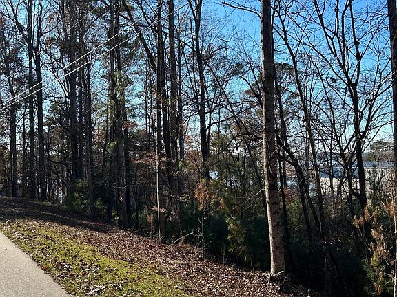 3rd image of LOT 10 Blue Creek Cir