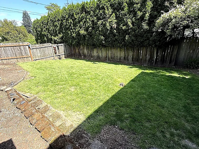 Back yard
