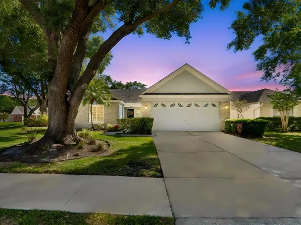 9702 Little Pond Way, Tampa, FL 33647