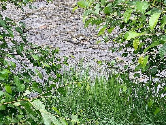 Pecos River
Ranch property