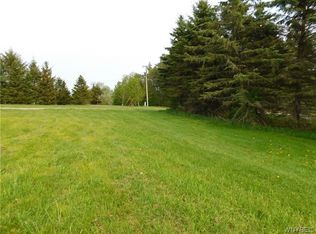 3984 Riceville Rd, Machias, NY 14101