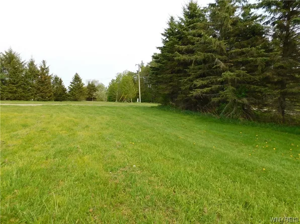 3984 Riceville Rd, Machias, NY 14101