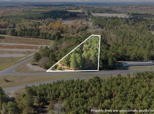 Vacant Us Highway Alt N #220, Candor, NC 27229
