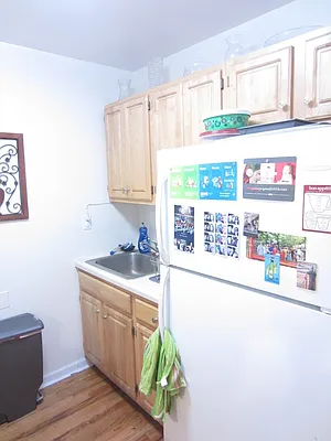 Rented by Link NY Realty | media 14