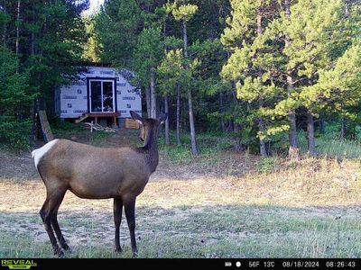 Ottawa Gulch Rd, Marysville, MT, 59640