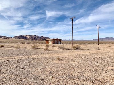 80300 Screech Owl, 29 Palms, CA, 92277