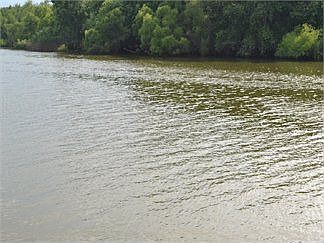 2nd image of 10717 Schuessler Rd
