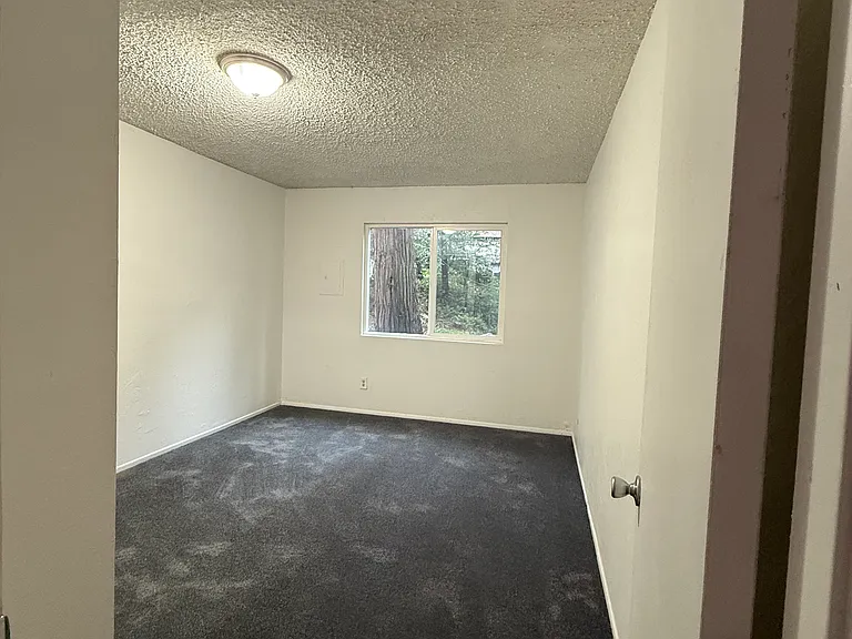 767 Woodland Rd #1 — Photo 7