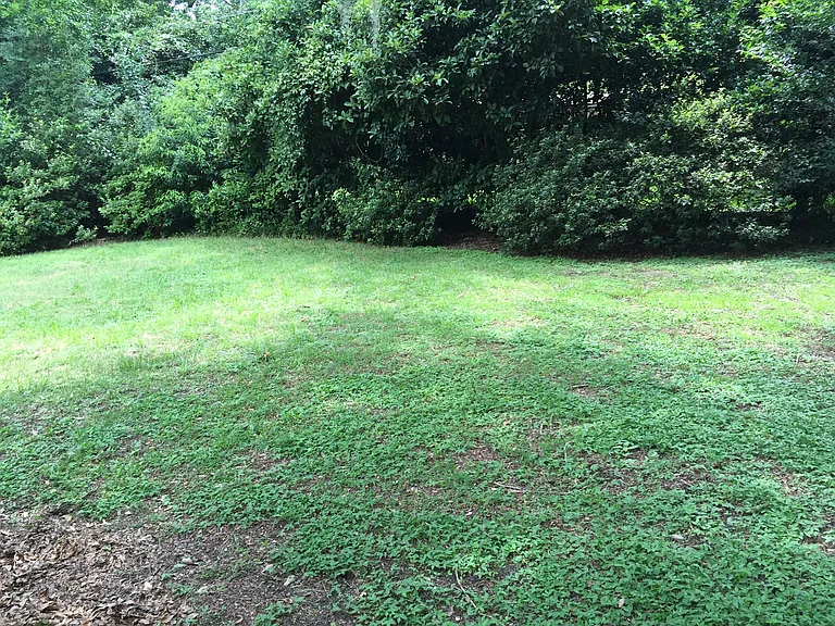 fenced backyard