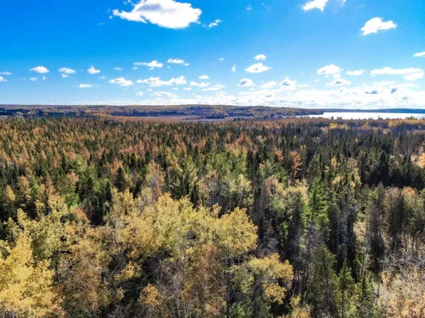Hubbard Lake Rd, Hubbard Lake, MI 49747
