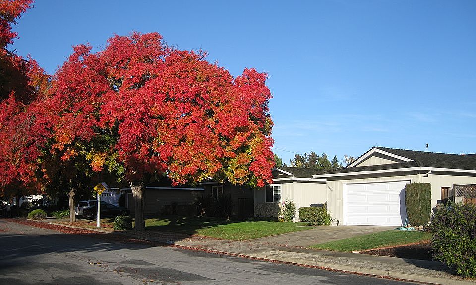1st image of 20327 Clay St