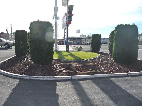 Front Landscaping