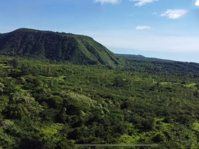 Hilea Rd, Naalehu, HI, 96772