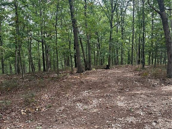 5th image of County Road 205