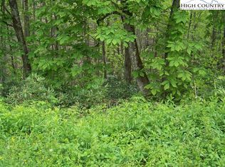 Tbd Teaberry Hills Rd, Boone, NC 28607