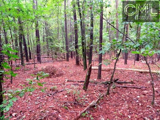2nd image of 9230 Garners Ferry Rd