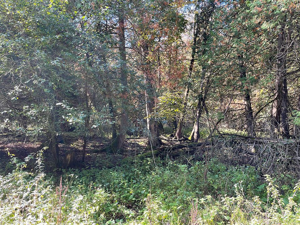 1st image of Woodland Shores Dr