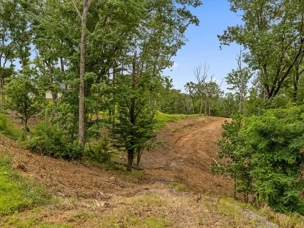 LOT 9 High Summit Dr, Talking Rock, GA 30175