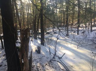 Rumford Dr, Webster, NH 03303