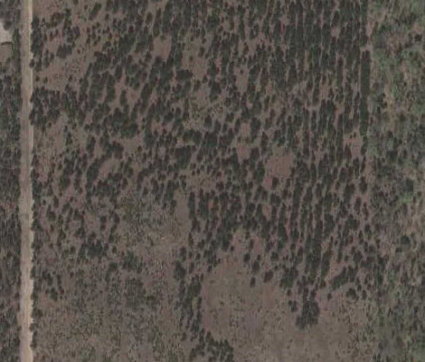 2nd image of Par A 11 Mile