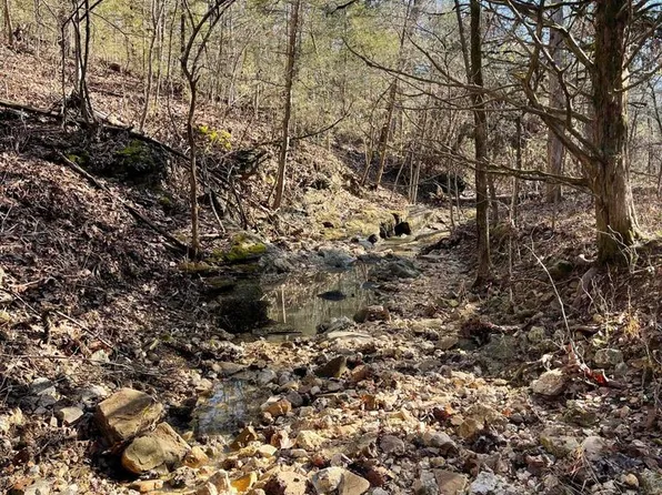 0 State Highway 160, Gainesville, MO 65655