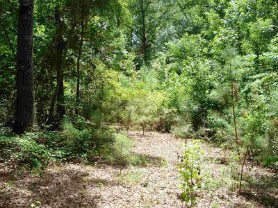 545 Henry Higgins Rd, Jackson, GA, 30233