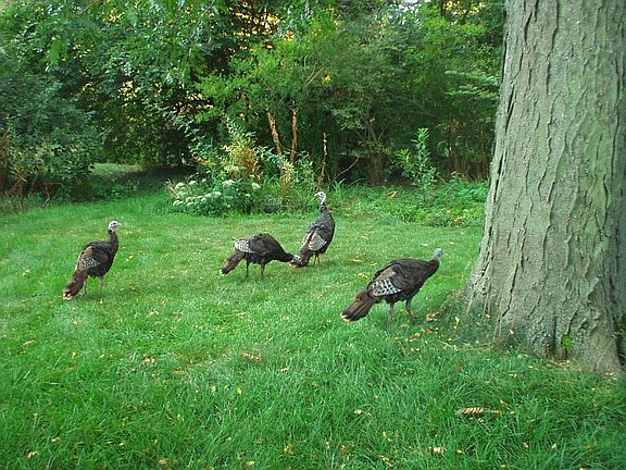 path leads to 2nd lot